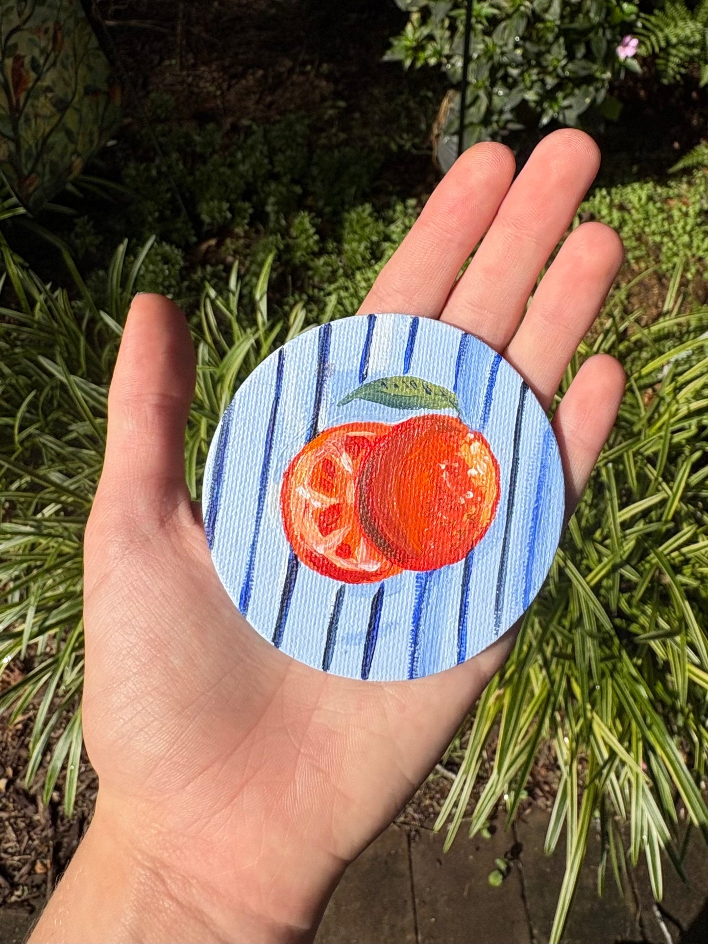 Fruit Magnets