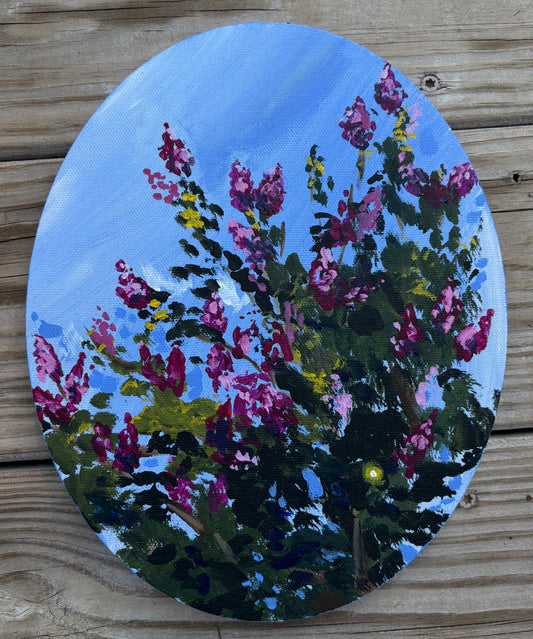 "Crape Myrtle"
